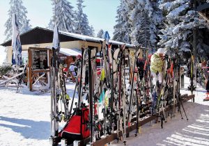 Hlídejte si lyže a snowboardy! V případě krádeže pomůže pojištění Hlídejte si lyže a snowboardy! V případě krádeže pomůže pojištění